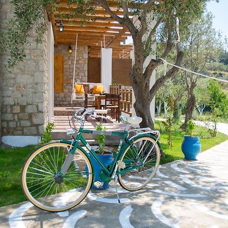 To Stolidi Tis Psinthou Villa Psinthos Exterior foto
