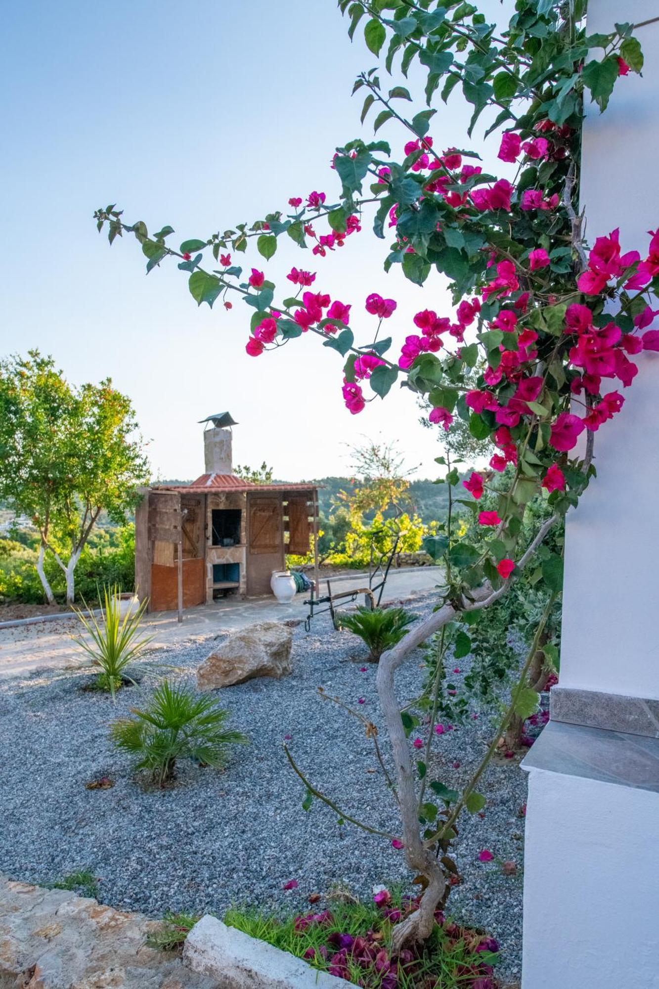 To Stolidi Tis Psinthou Villa Psinthos Exterior foto