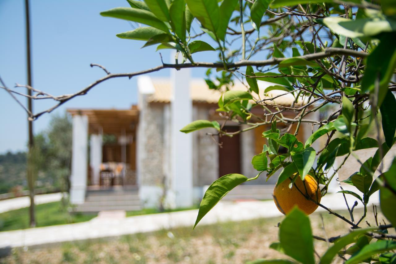 To Stolidi Tis Psinthou Villa Psinthos Exterior foto